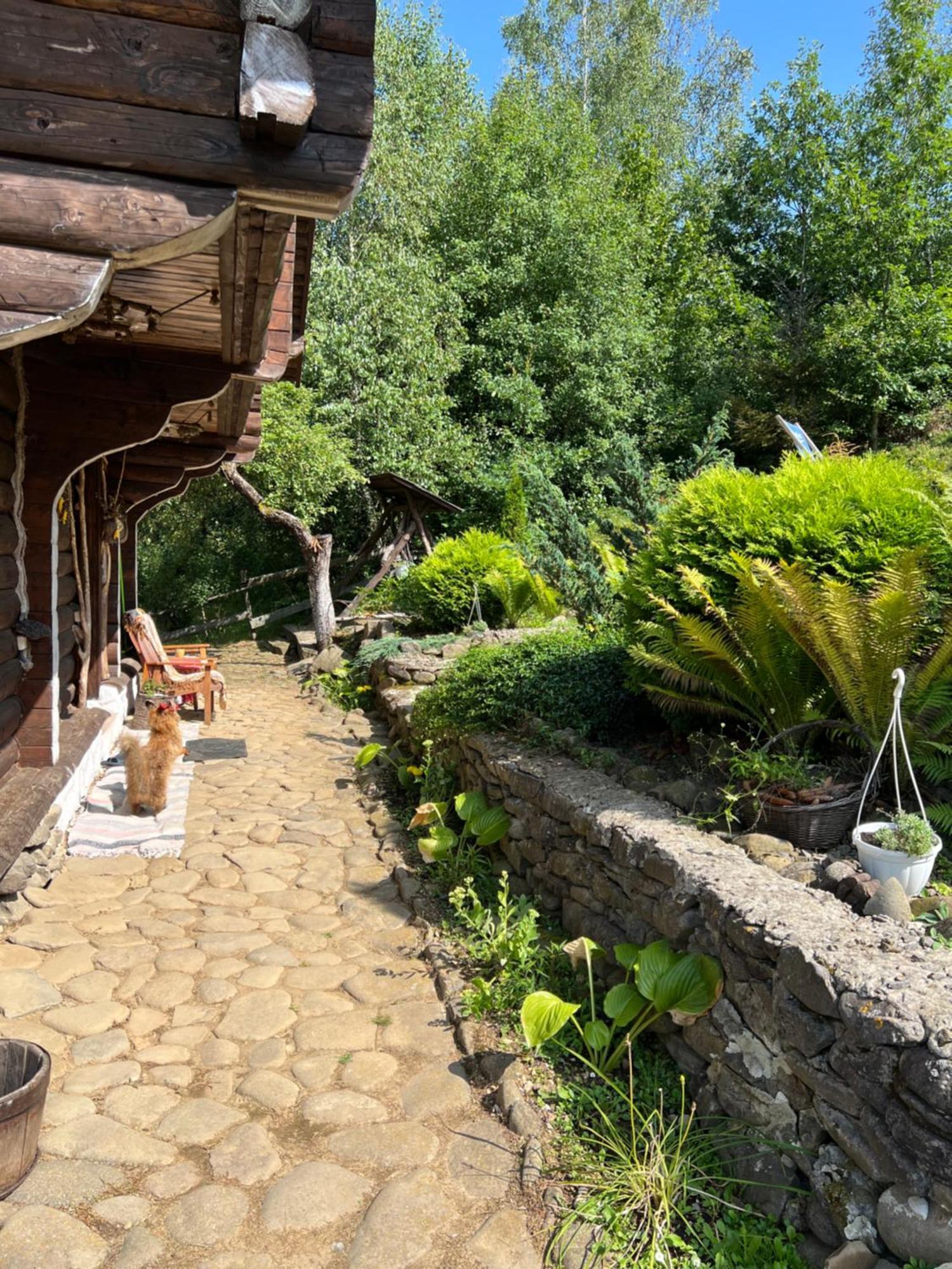 Zelenyj Raj Villa Pashkivtsi  Exterior photo